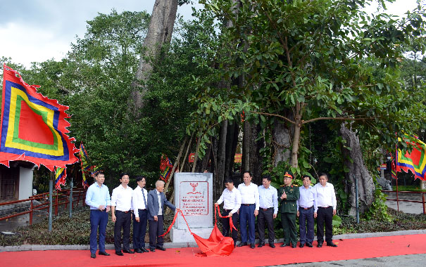 Cây[-]đa[-]và[-]cây[-]thông[-]1000[-]năm[-]tuổi[-]ở[-]Vĩnh[-]Phúc[-]được[-]công[-]nhân[-]Cây[-]Di[-]sản[-]Việt[-]Nam